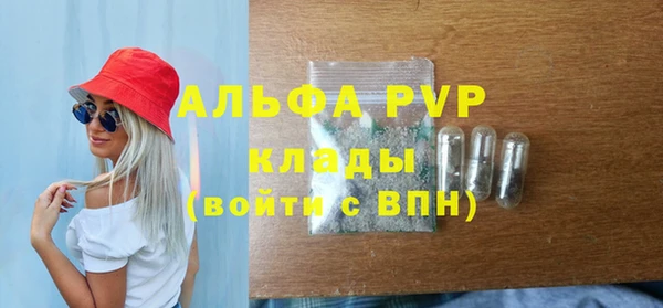 твердый Дмитриев