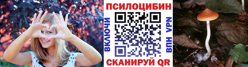 Псилоцибиновые грибы MAGIC MUSHROOMS Горячий Ключ