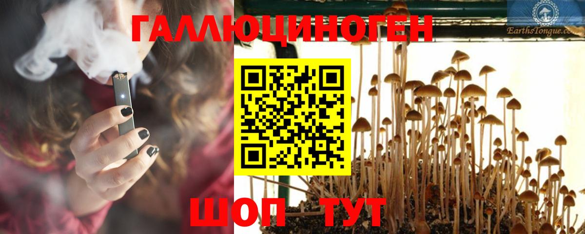 Псилоцибиновые грибы GOLDEN TEACHER Горячий Ключ