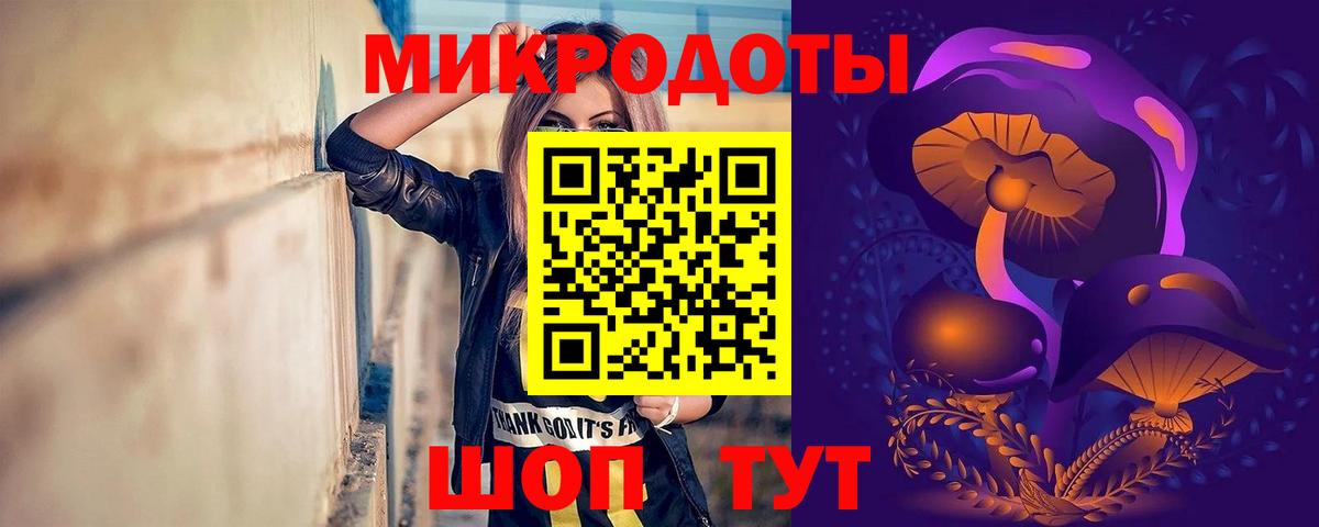 Галлюциногенные грибы Psilocybine cubensis Горячий Ключ